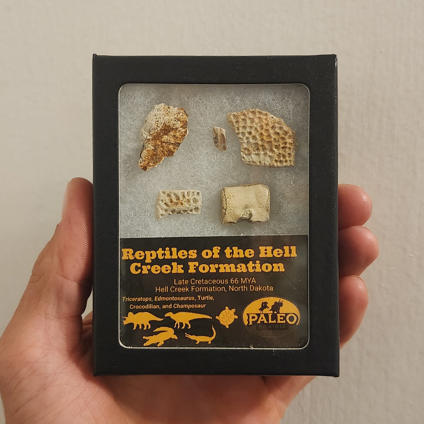 Reptiles of the Hell Creek Formation