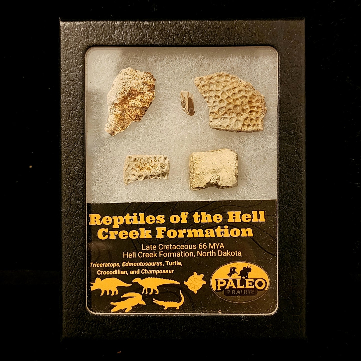 Reptiles of the Hell Creek Formation