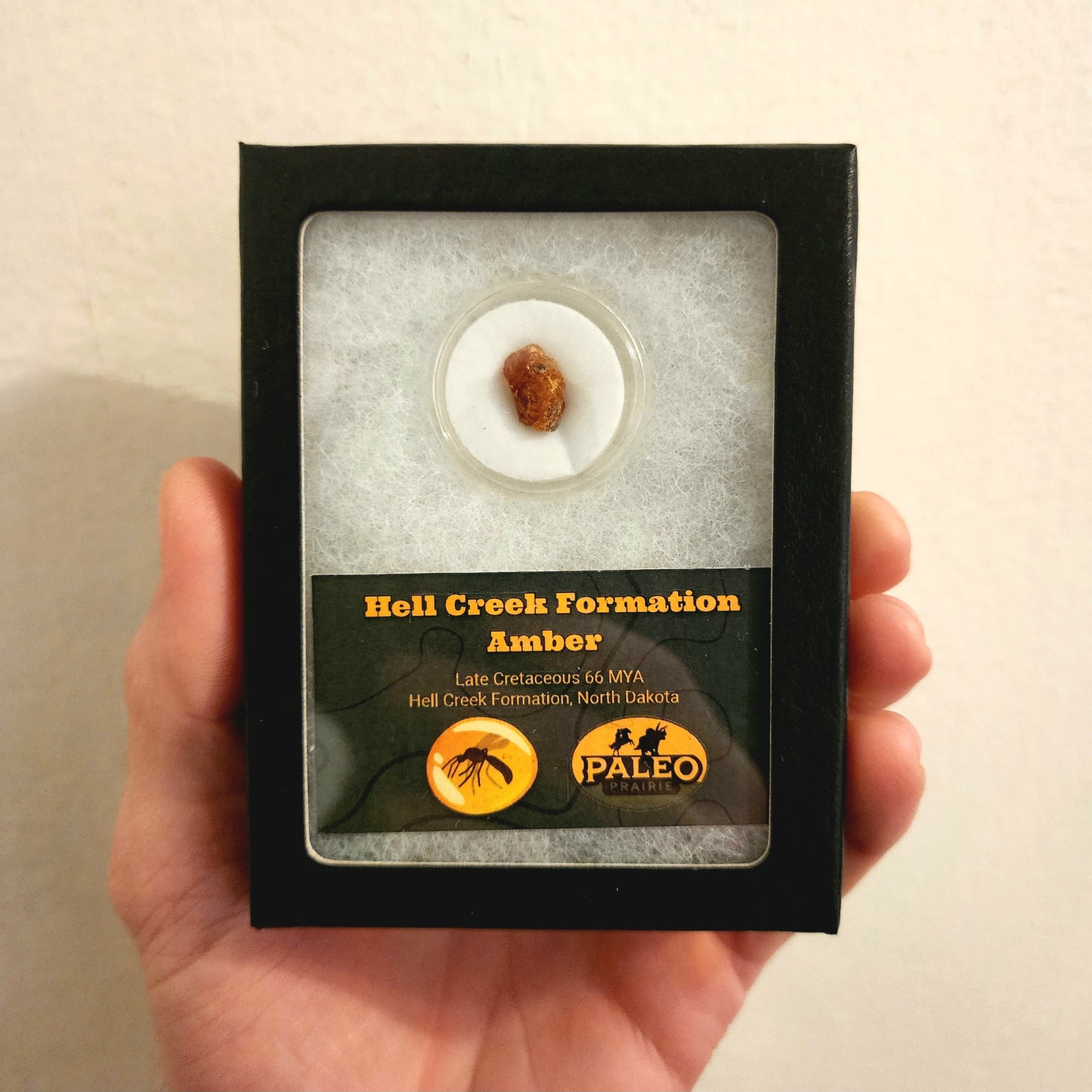 Amber (Hell Creek Formation) – Late Cretaceous (66 MYA)